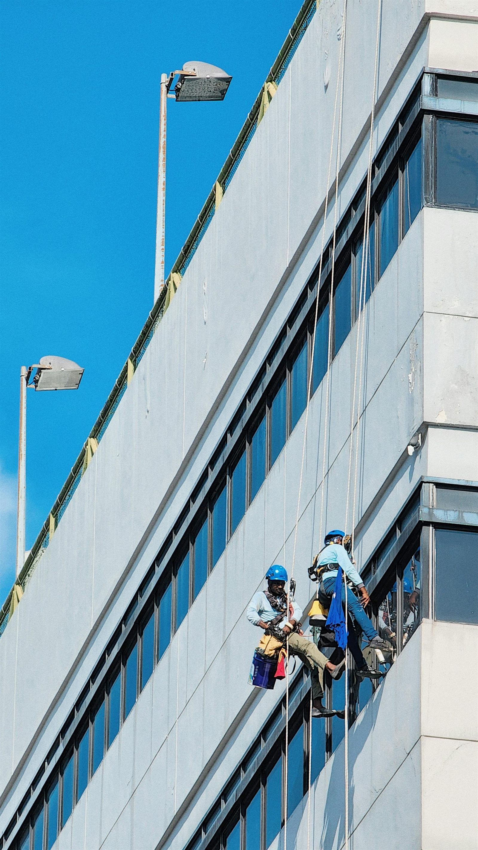 Profi-Fassadenreinigung am Hochhaus mit Seilzugang